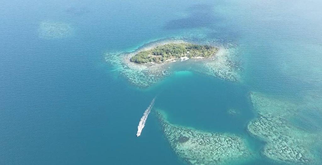 listing image with ID 68304