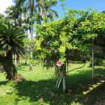 listing image thumbnail with ID 67744