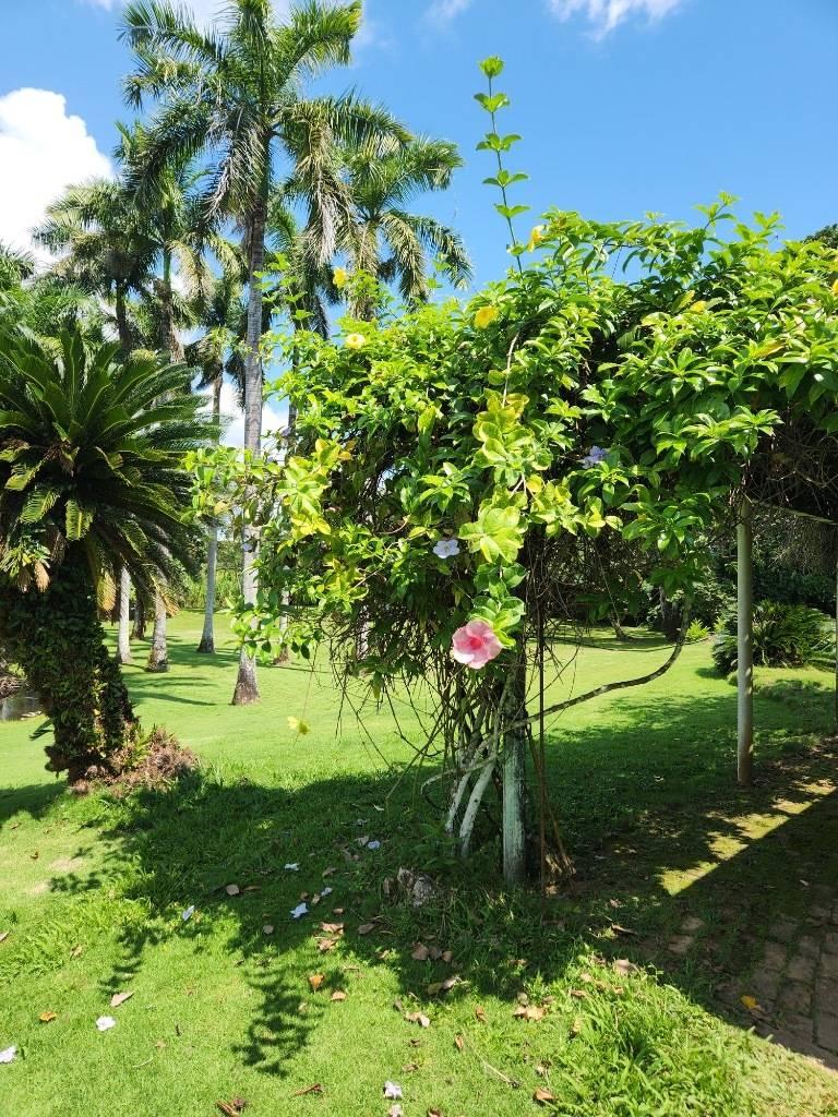 listing image with ID 67744