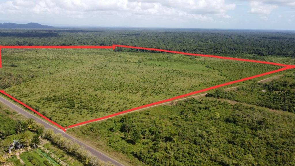 listing image with ID 68129