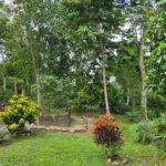 listing image thumbnail with ID 68283