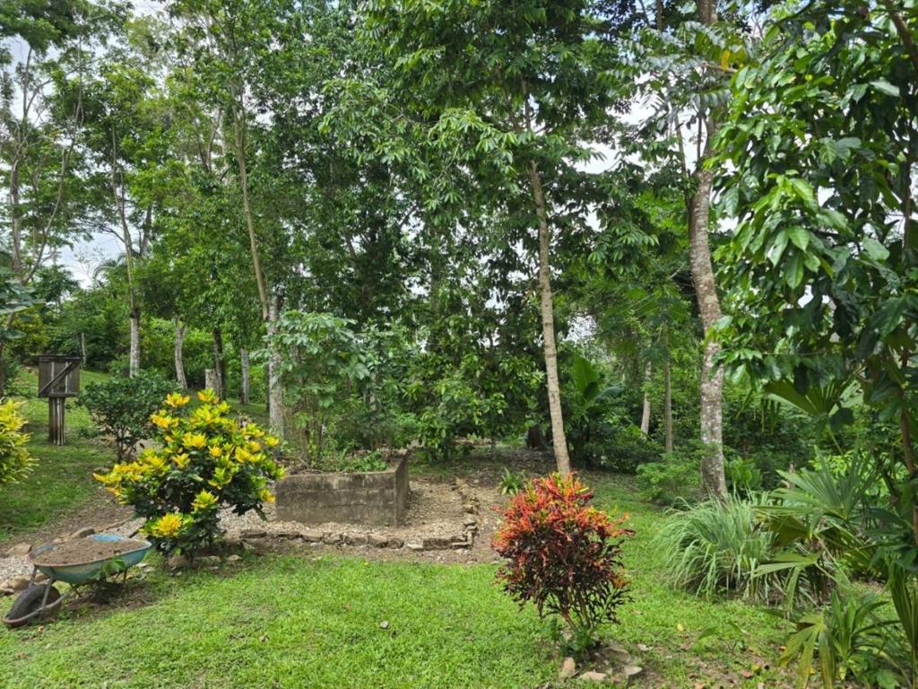 listing image with ID 68283