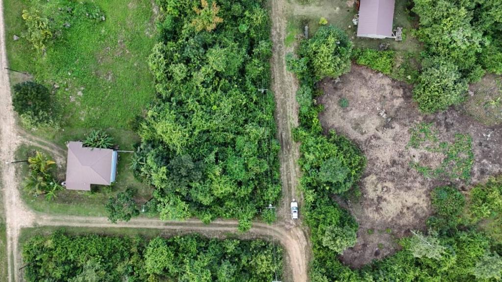 listing image with ID 64122