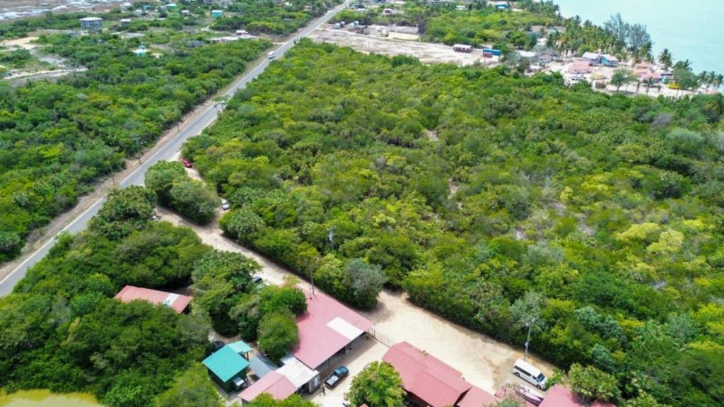 listing image with ID 65341