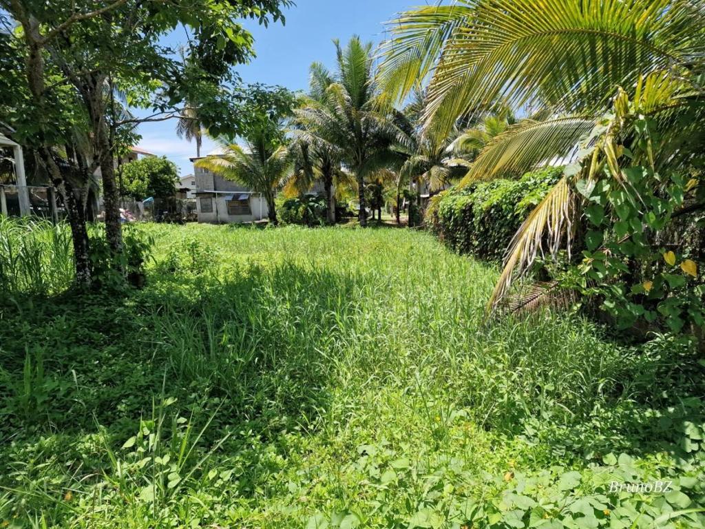 listing image with ID 67502