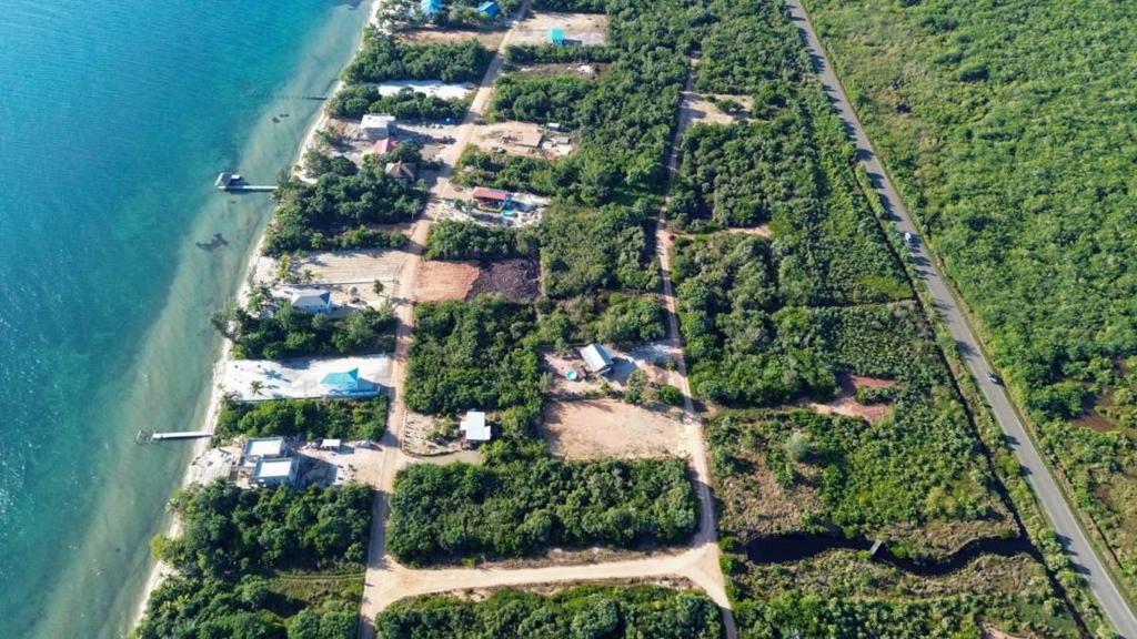 listing image with ID 67817