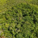 listing image thumbnail with ID 63756