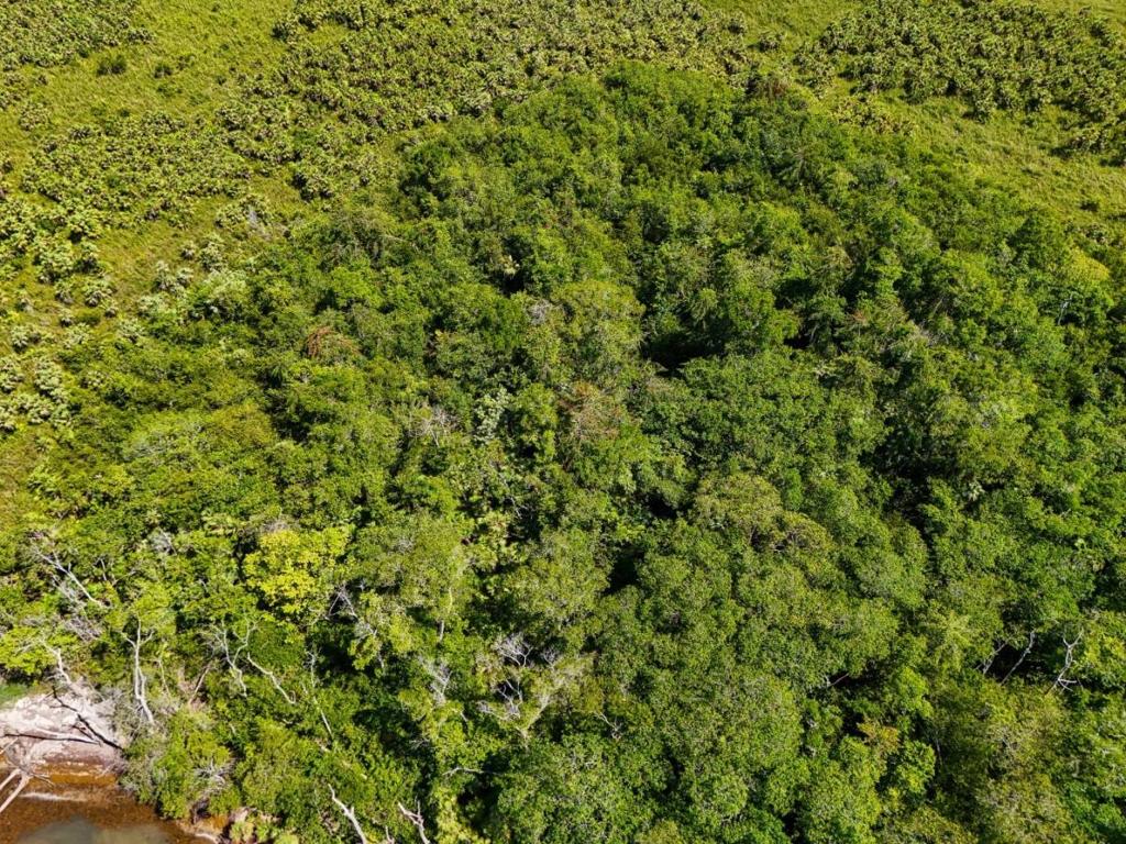 listing image with ID 63756