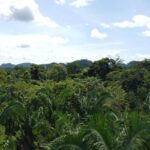 listing image thumbnail with ID 67784