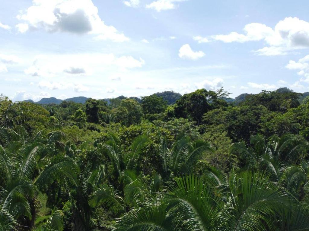 listing image with ID 67784