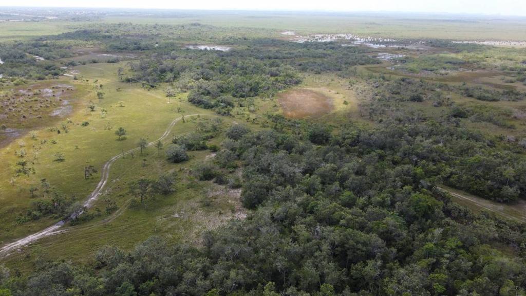 listing image with ID 67629