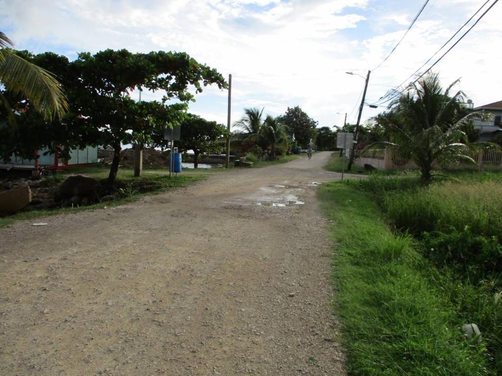 listing image with ID 64176