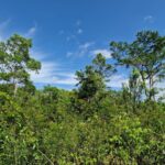 listing image thumbnail with ID 63949