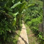 listing image thumbnail with ID 68269