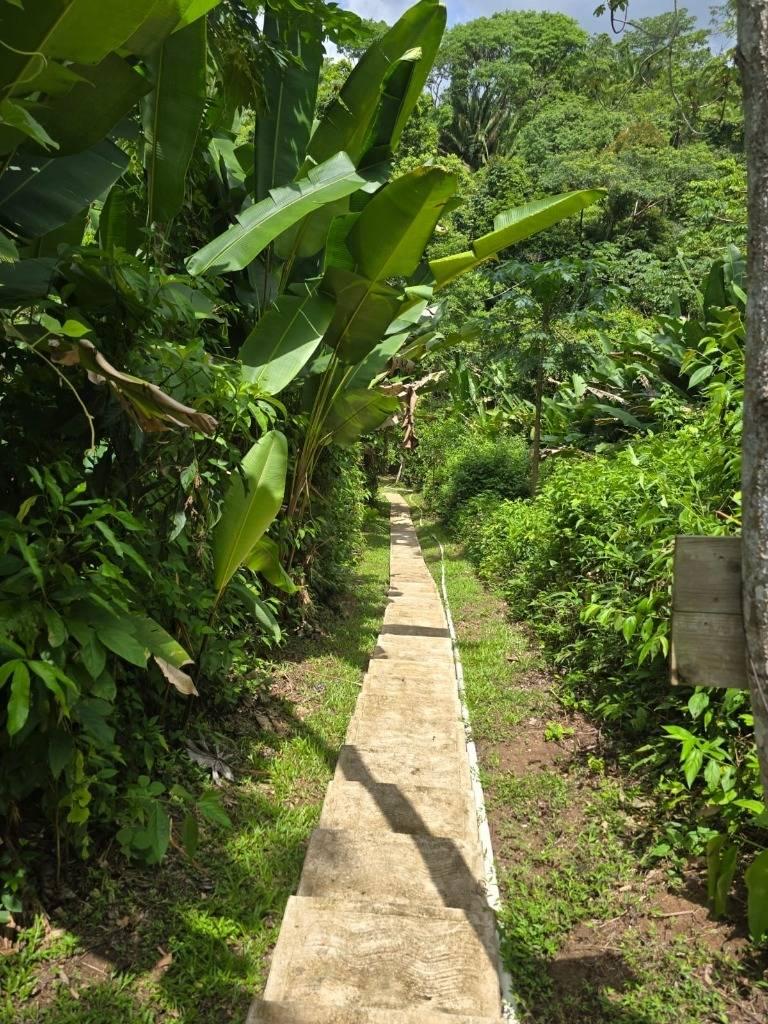 listing image with ID 68269