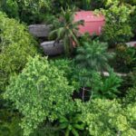 listing image thumbnail with ID 65895