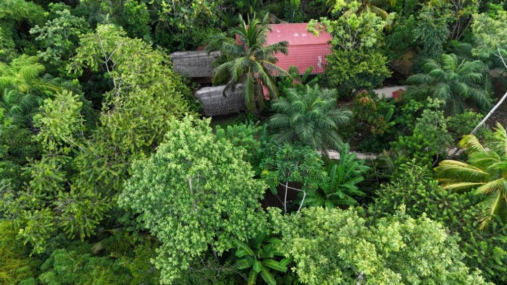 listing image with ID 65895