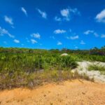 listing image thumbnail with ID 68182