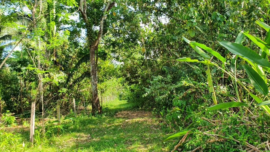 listing image with ID 67372