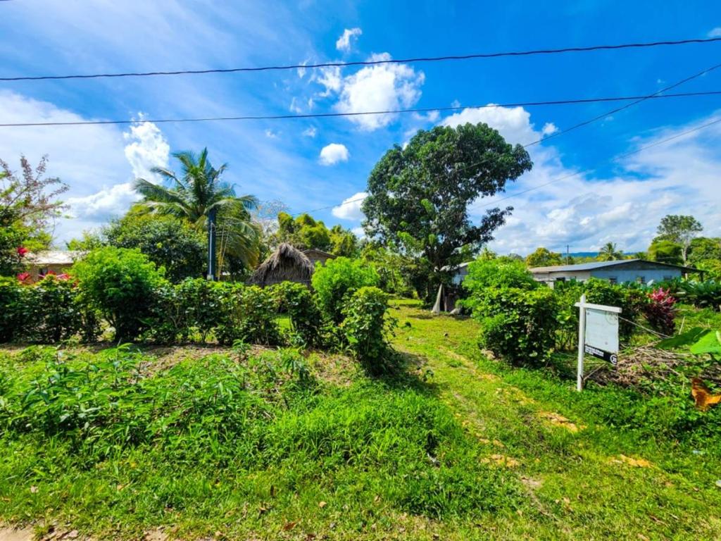 listing image with ID 64375