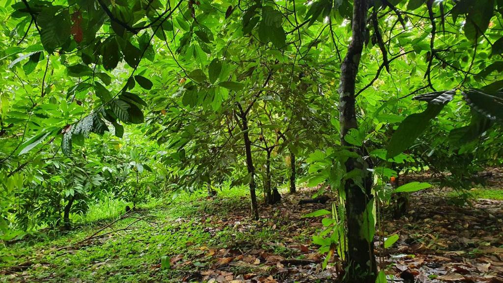 listing image with ID 66269