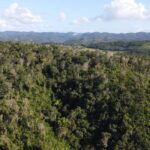 listing image thumbnail with ID 67764