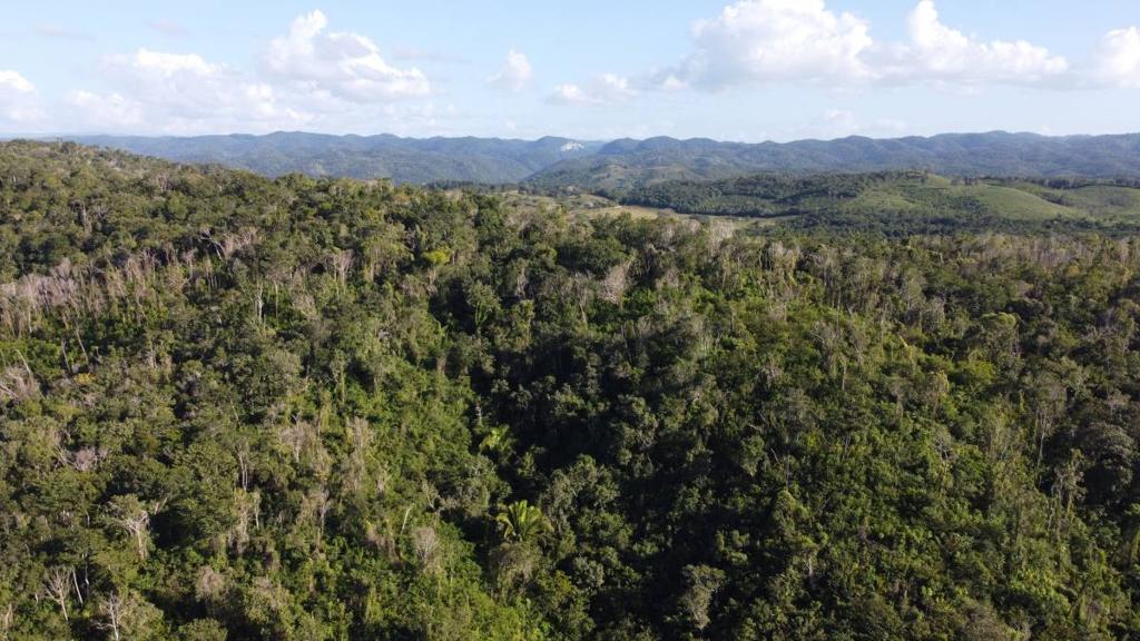 listing image with ID 67764