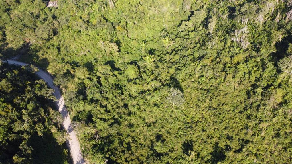 listing image with ID 67763