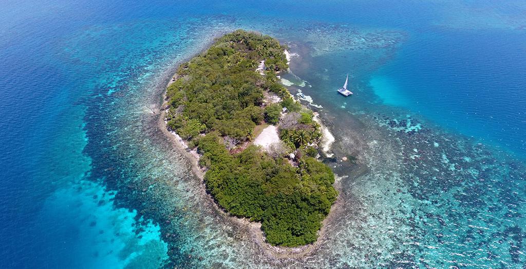 listing image with ID 68298