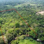 listing image thumbnail with ID 64853