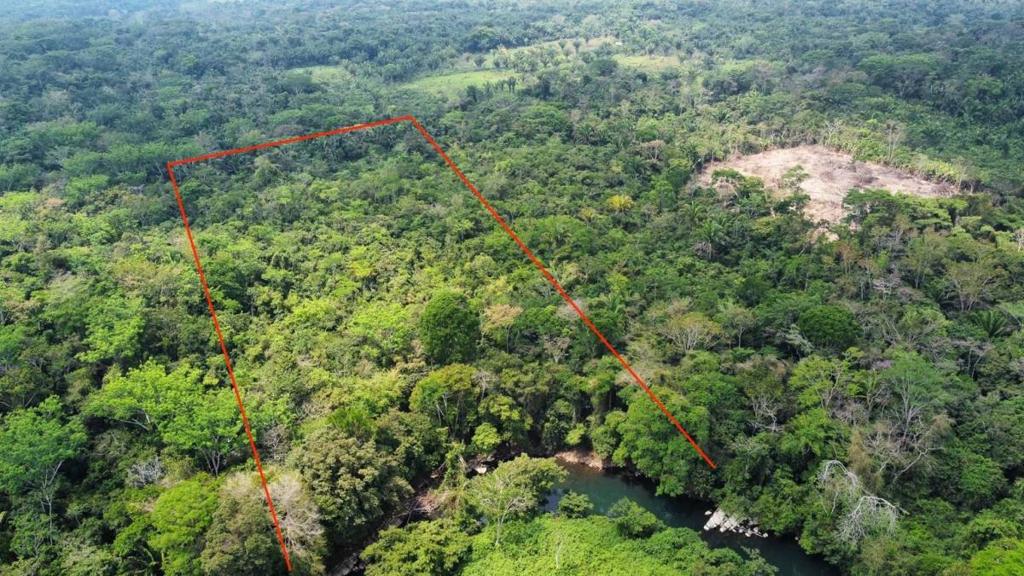 listing image with ID 64853