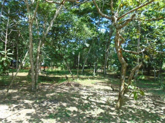 listing image with ID 64804