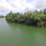 listing image thumbnail with ID 63801