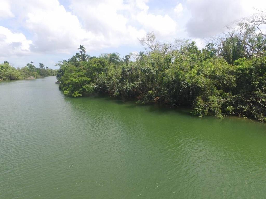 listing image with ID 63801