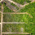 listing image thumbnail with ID 66086