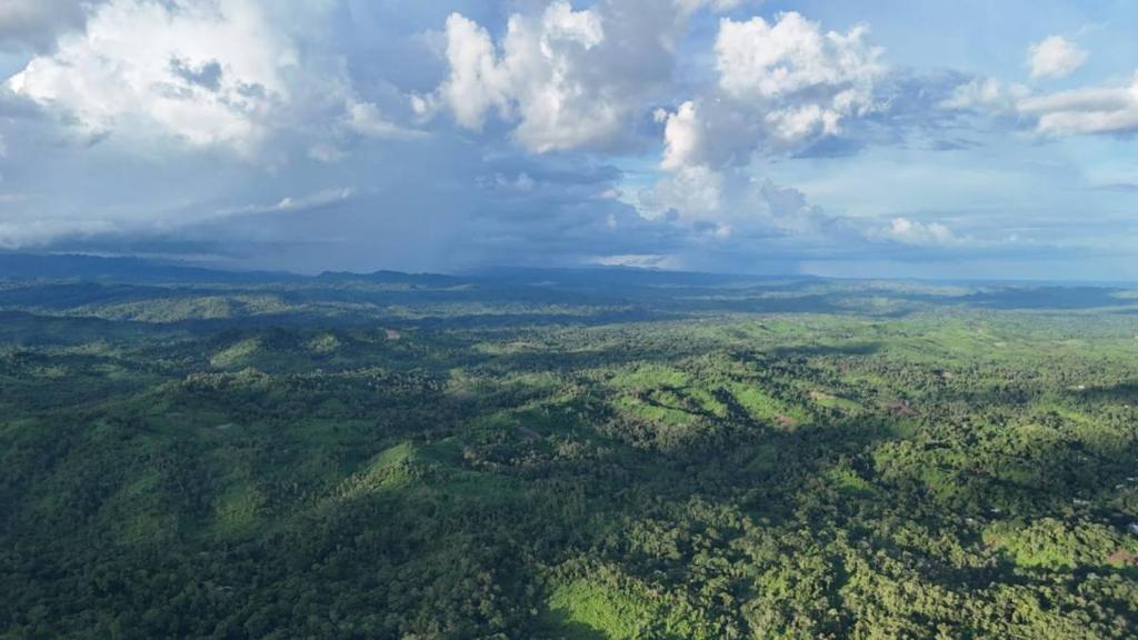 listing image with ID 66904