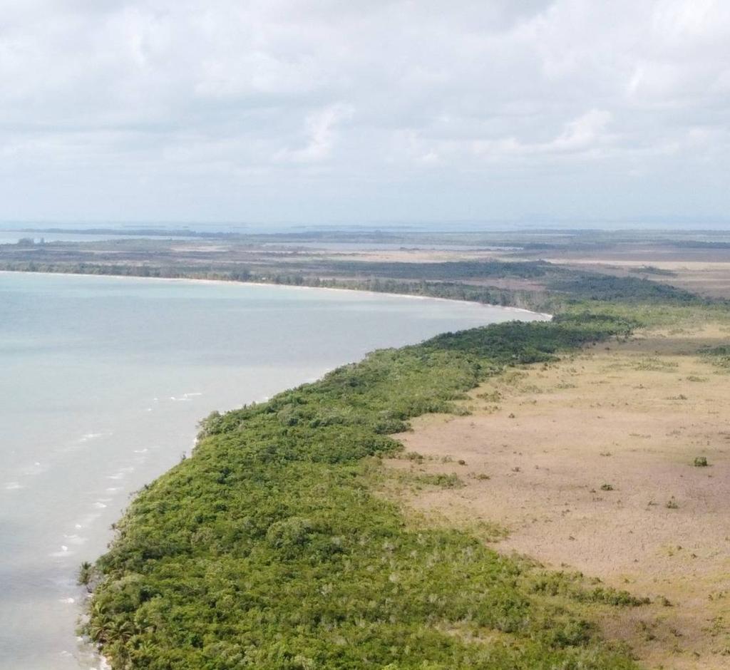 listing image with ID 64022