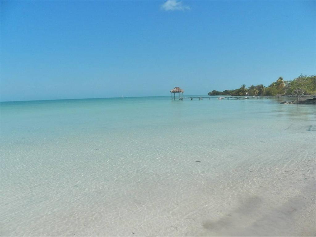 listing image with ID 65701