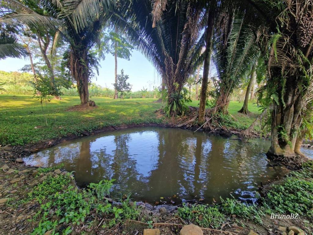 listing image with ID 64930