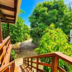 listing image thumbnail with ID 64688