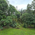 listing image thumbnail with ID 65280