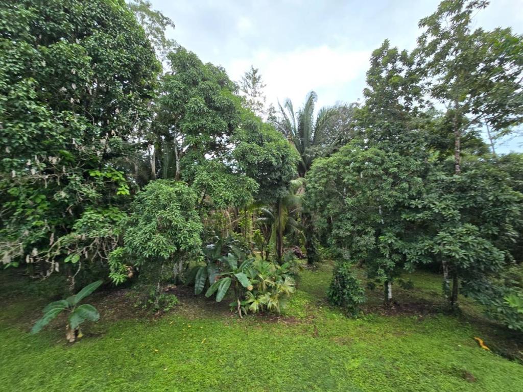 listing image with ID 65280