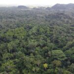 listing image thumbnail with ID 64253