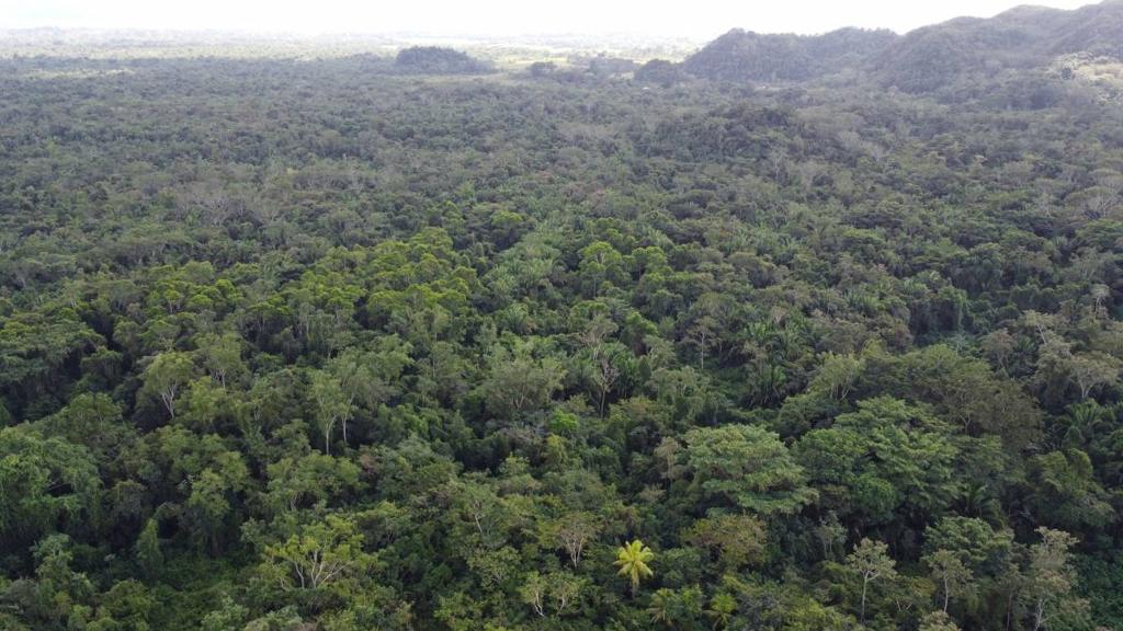 listing image with ID 64253