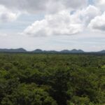 listing image thumbnail with ID 64219