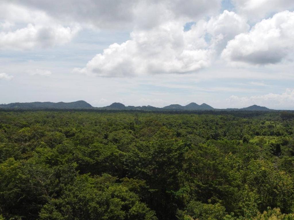 listing image with ID 64219