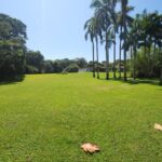 listing image thumbnail with ID 67739