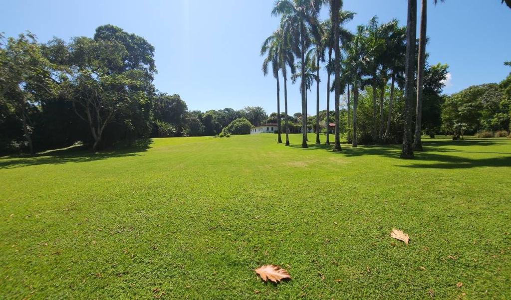 listing image with ID 67739