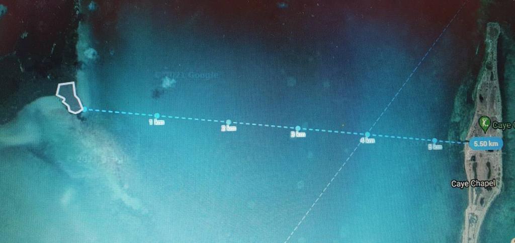 listing image with ID 64746