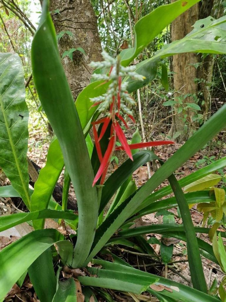 listing image with ID 63979